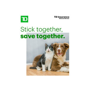 tdinsurance
